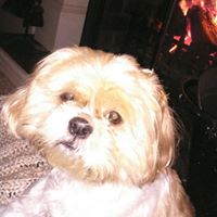 Anne Matthews Photo 36