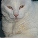 April Gothard Photo 9