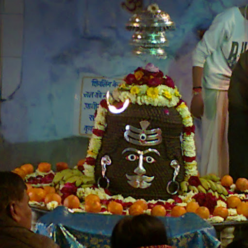 Mona Gupta Photo 8