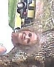 Carole Norris Photo 4