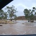 Alice Flood Photo 6
