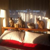 Kelly Broadbent Photo 10