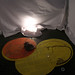 Todd Rollins Photo 18