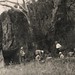George Hutton Photo 22