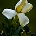 Alan Cohen Photo 40