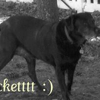 Theodore Peters Photo 29