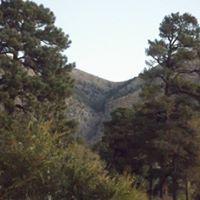Sherry White Photo 29