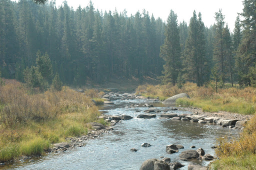 Sharon Olson Photo 27