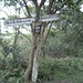 Pei Chang Photo 14
