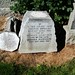 Douglas Marchand Photo 8