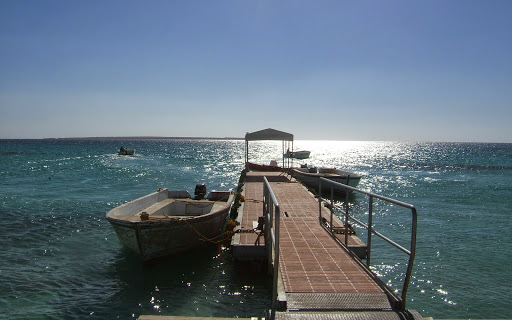 Rick Roman Photo 11