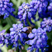 Tracey Bee Photo 9