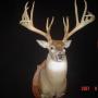 Dean Harmon Photo 17
