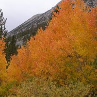 Richard Strunk Photo 8