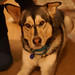 Terri Shepard Photo 15