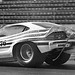 Norman Miller Photo 10