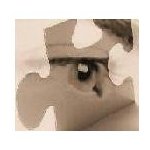 Deborah Petersen Photo 1