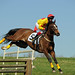 Richard Swope Photo 17