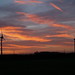 Dawn Wold Photo 6