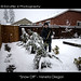 Julie Snow Photo 47