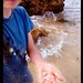 Tammy Shell Photo 16