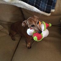 Paula Dailey Photo 14