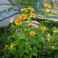 Linda Slagle Photo 23