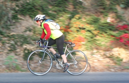 Andrea Warner Photo 5