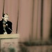Michael Larue Photo 43