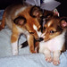 Lacey Wells Photo 15