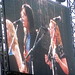 Teresa Campbell Photo 10