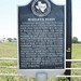 David Moseley Photo 15