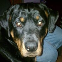 Rhonda Hunter Photo 45