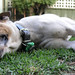 Nancy Pascoe Photo 3