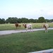 Leander May Photo 8