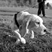 Loren Lemon Photo 8