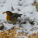 Robin Keeling Photo 9