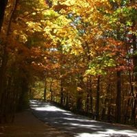 Nancy Laymon Photo 10