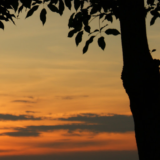Eddy Lim Photo 9