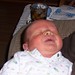 David Kehl Photo 10
