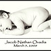 Jacob White Photo 16