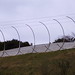 Robert Colgan Photo 35
