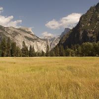 Edward Larson Photo 25