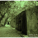 Lan Wu Photo 18