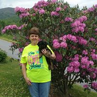 Theresa Whitehead Photo 10