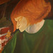 Barbara Craft Photo 31
