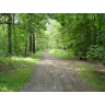 William Matson Photo 8
