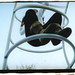 Deborah Childs Photo 34