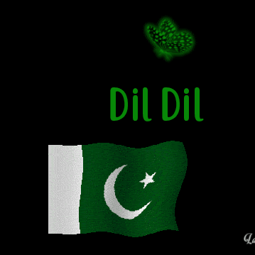 Abdur Rashid Photo 11