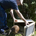 Roy Reynolds Photo 16